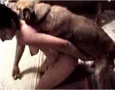 Horny dog fucks my wife